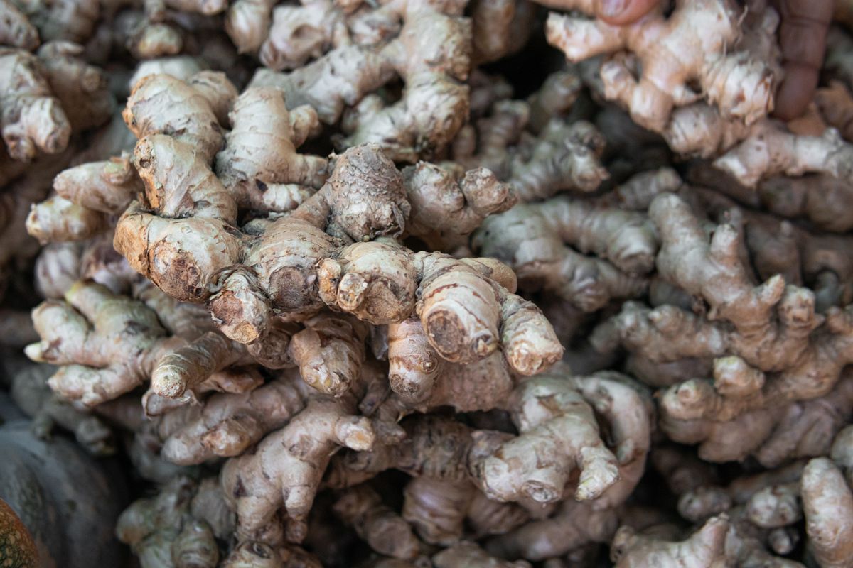 Fresh ginger roots photographed close up