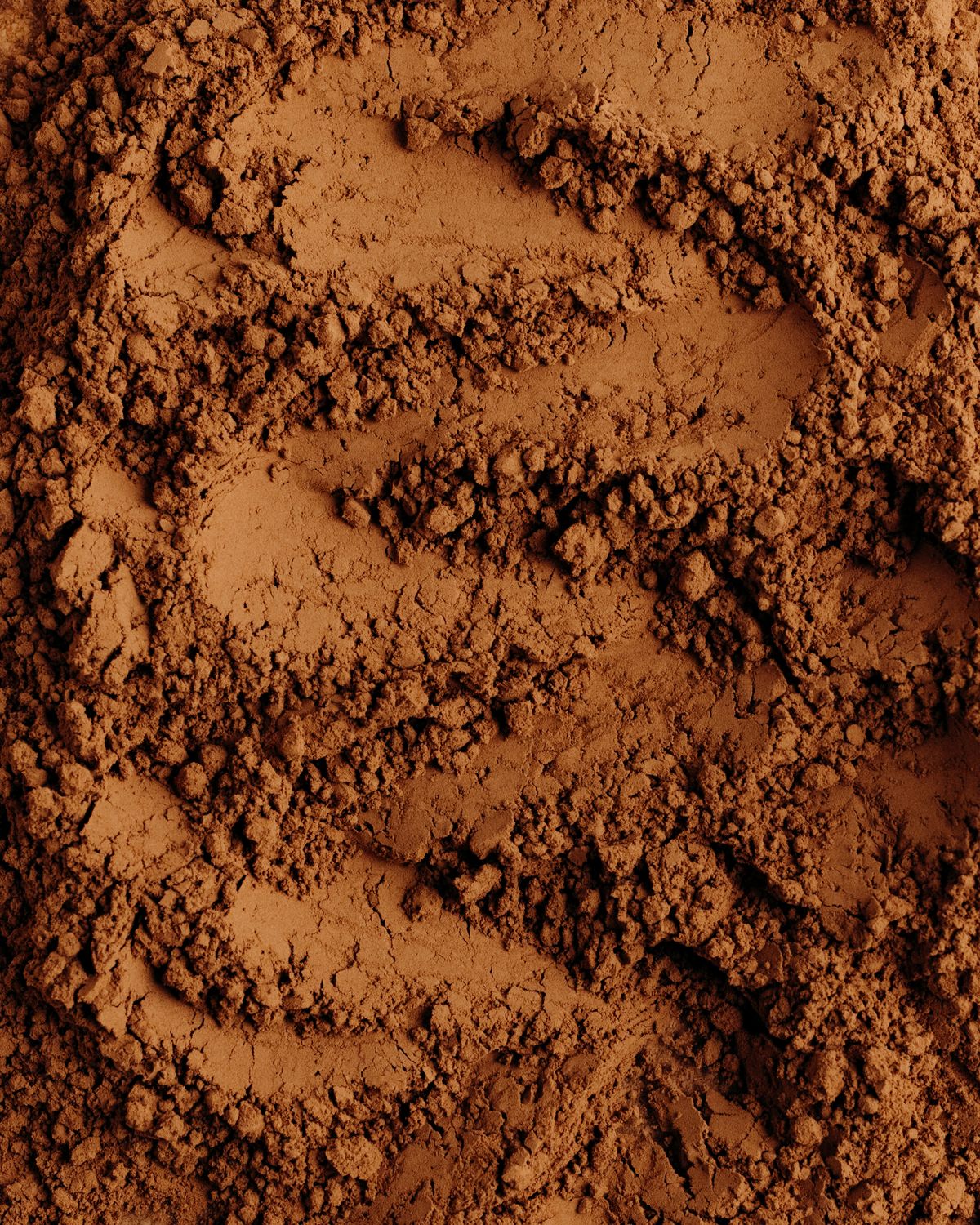 Close-up of cocoa powder